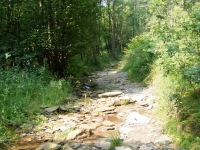 Eifel Trail