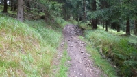 Trail hinauf zum Kl&#237;novec (Keilberg)