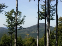 Blick auf Tannenberg