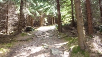 Trail am Döhlener Berg vorbei