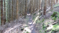 Tag 1 - Rabenberg Trail