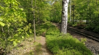 Trail pur