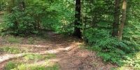 Trail Bleichenweg