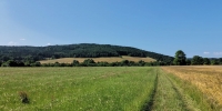 Wiesentrail