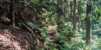 Vater-Imme-Weg