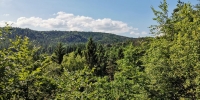 Ausblick - Vater-Imme-Weg