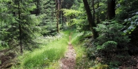 Grenztrail