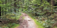 Finstre Tuelke
