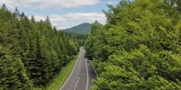 Schoeberbruecke