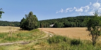 Elefantensteine