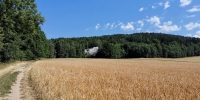 Elefantensteine