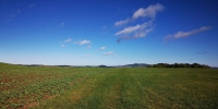 &#252;ber die Wiese geht es da hin