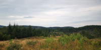 Blick Richtung Scharfenstein oberhalb vom Forsthaus