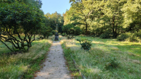 Kriegsfriedhof