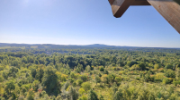 Blick vom Haselbergturm