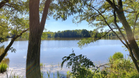 Teich