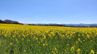 Gebirge