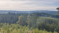 Landschaft