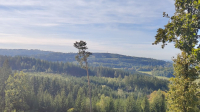 Landschaft